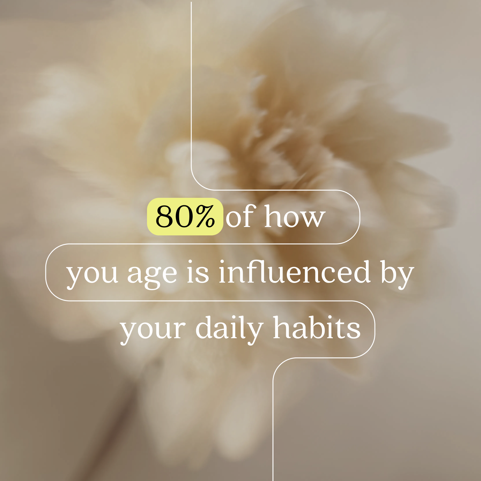 Frame 22lyva.png